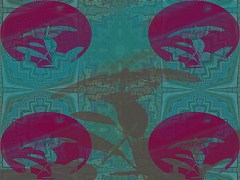 Pattern Combo Butterflies