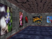 Phota Flowers Screensaver Download