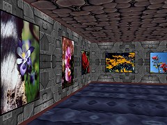 Flowers in a Rectangular Gallery