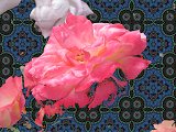 Rose Mask