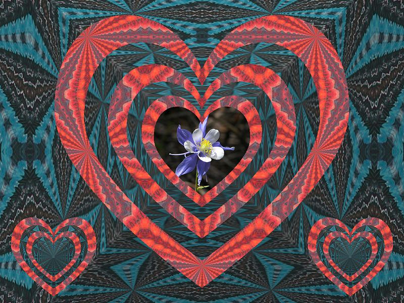 Boxed Hearts Pattern Combo Valentine
