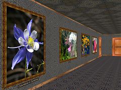 Flowers in a Rectangular Gallery
