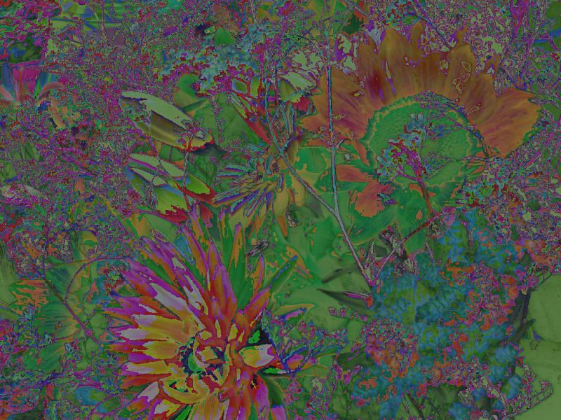Contusive Flowers
