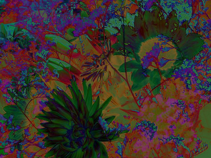Iridescent Flowers