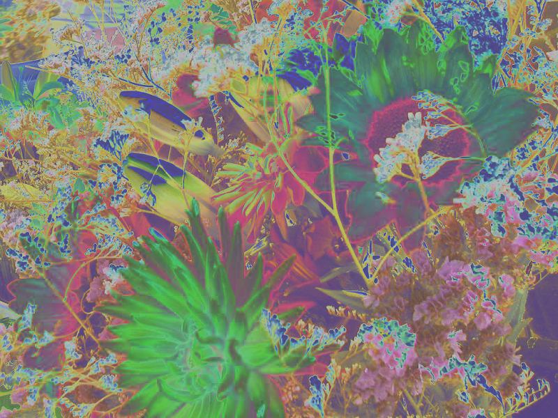 Opalescent Flowers