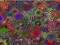 Liquib Image