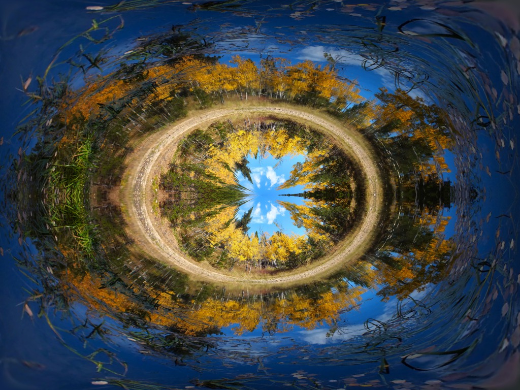 Liquib Introvert Mutation