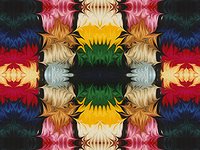 Tiled Liquib Image