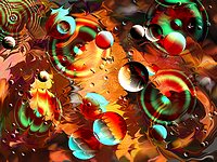 Liquib Image