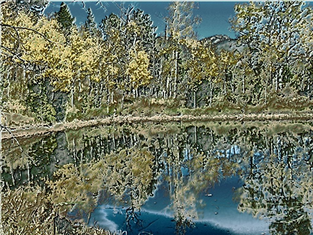 Liquib Shined Aspens