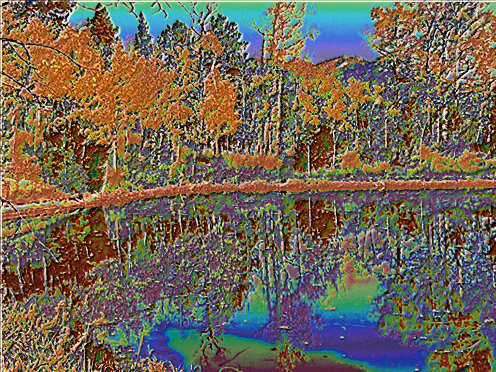 Liquib Shined Aspens