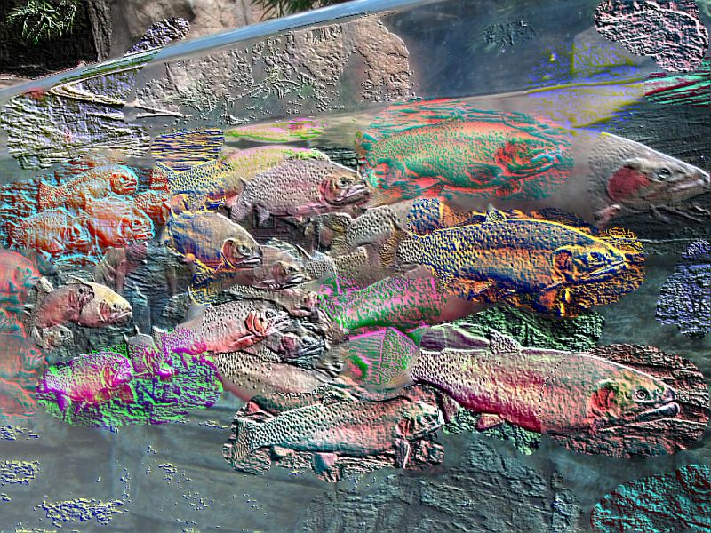 Liquib Fish in Relief