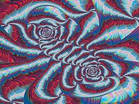 Liquib Image