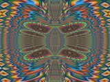 Wings Surface